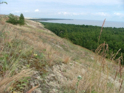 Blick auf das Kurische Haff