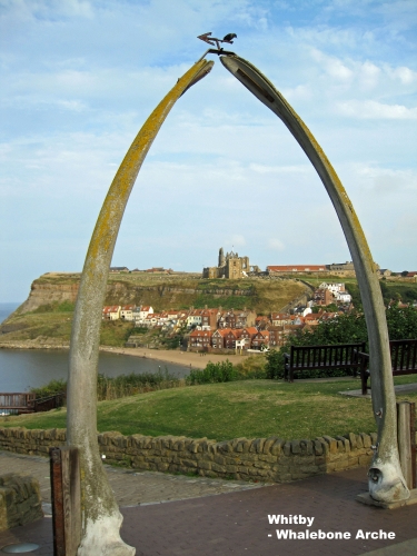 Whitby whalebones