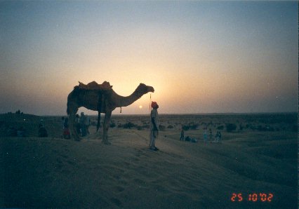 Sonnenuntergang in der Wueste
