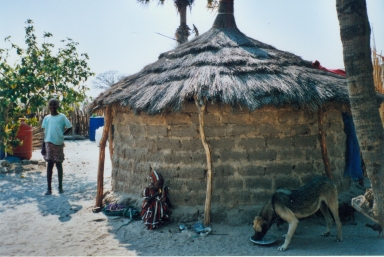 Namibia, Etosha Nationalpark