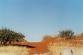 Kalahari