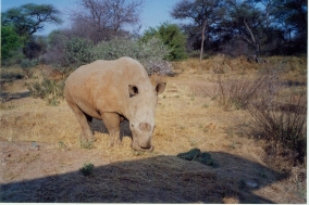 Otjiwarongo