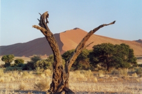 Sossusvlei